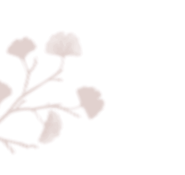 https://antruong-phuochai.com/wp-content/uploads/2020/12/floating_image_01.png