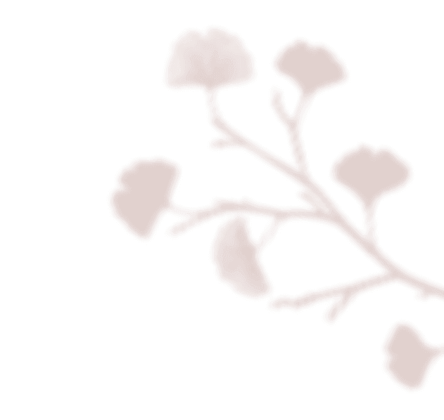 https://antruong-phuochai.com/wp-content/uploads/2020/12/floating_image_02.png