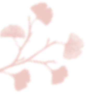 https://antruong-phuochai.com/wp-content/uploads/2020/12/floating_image_03.png