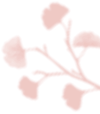 https://antruong-phuochai.com/wp-content/uploads/2020/12/floating_image_04.png