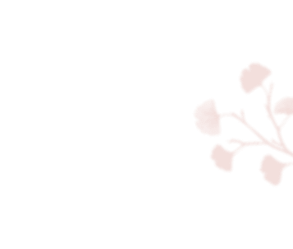https://antruong-phuochai.com/wp-content/uploads/2020/12/shadow_leaves_05.png