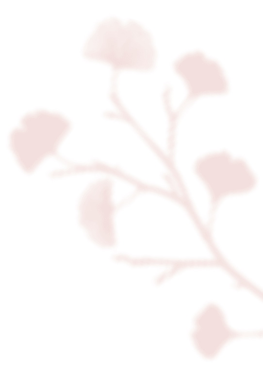 https://antruong-phuochai.com/wp-content/uploads/2020/12/shadow_leaves_07.png