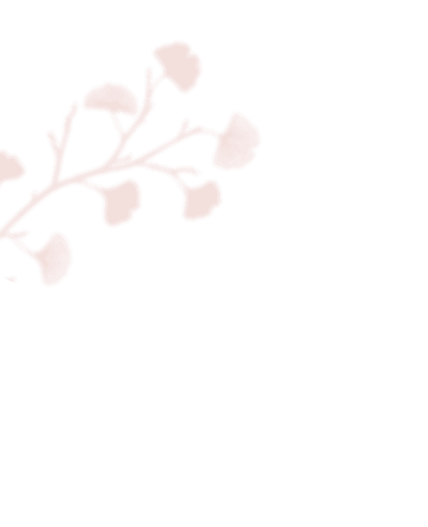 https://antruong-phuochai.com/wp-content/uploads/2020/12/shadow_leaves_inner.png